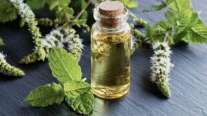 Do natural oils really work?